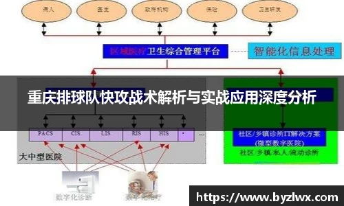 重庆排球队快攻战术解析与实战应用深度分析