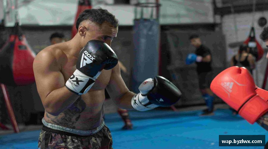 追求卓越，创造传奇！